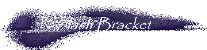 Flash Bracket