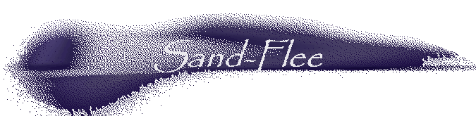 Sand-Flee